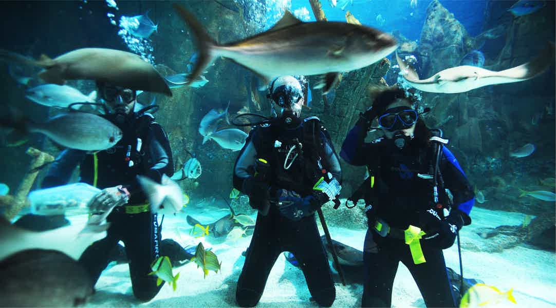 Istanbul Aquarium Florya with Transfer - photo 2