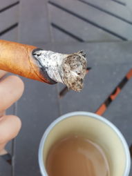 Cigar Session Photo