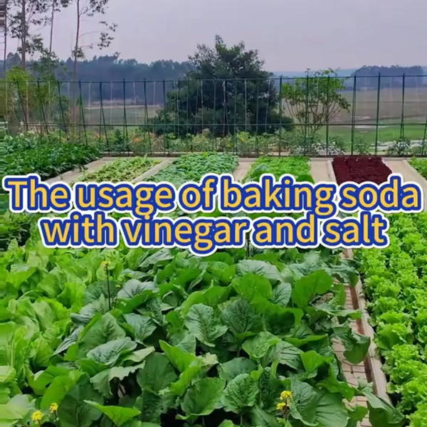 Main Content Image