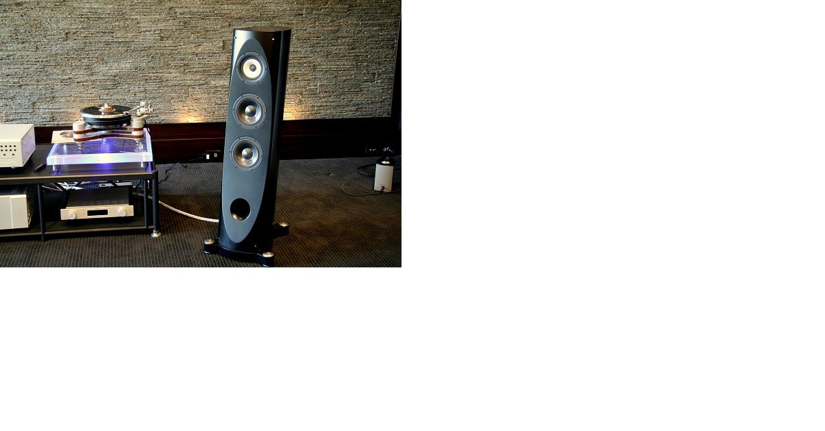 Pioneer/TAD S-1EX For Sale | Audiogon