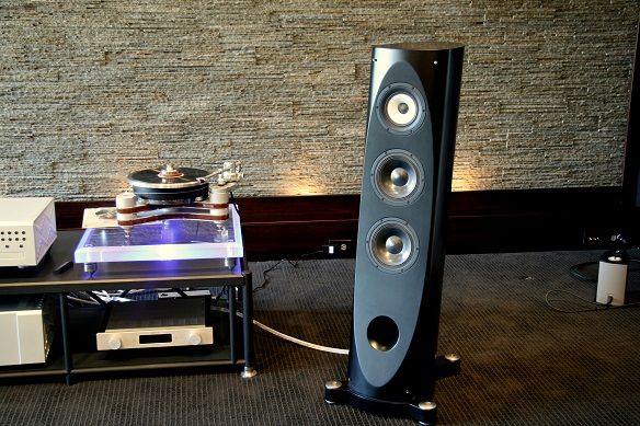Pioneer/TAD S-1EX For Sale | Audiogon
