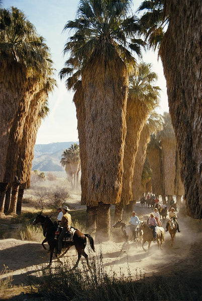 Palm Spring Riders by Slim Aarons - A horse riding scene captured by Slim Aarons with tall brown palms in a desert landscape