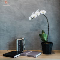 interior-360-minimalistic-modern-malaysia-wp-putrajaya-others-interior-design