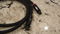 CRL Cable Research Lab Bronze 1.5 meter XLR 3