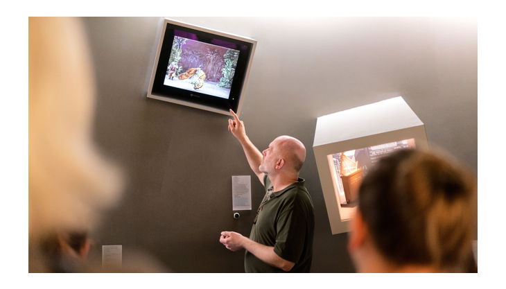 stiftung deutsche kinemathek museum für film und fernsehen