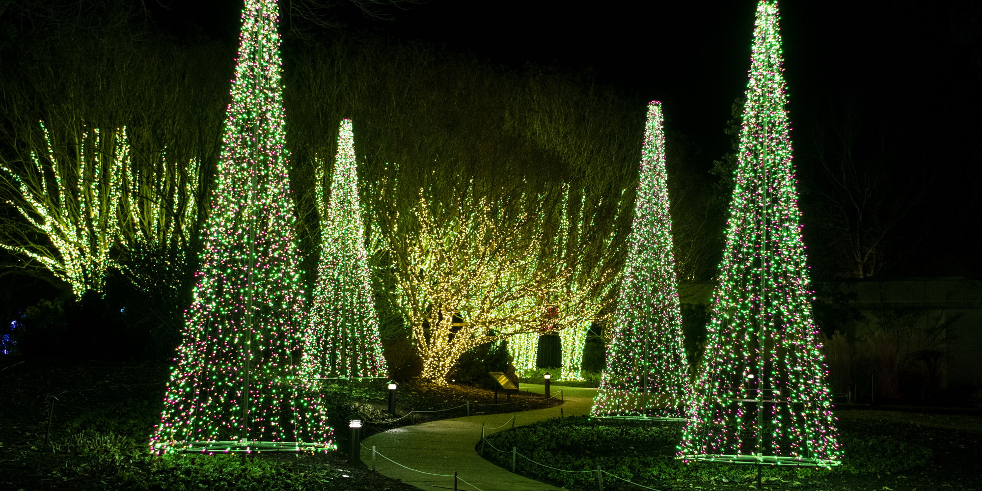 Holiday LIGHTS promotional image