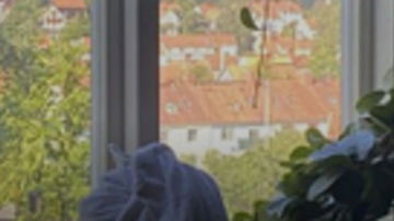 Main Content Image