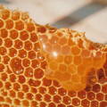 raw-honey-dripping-from-comb