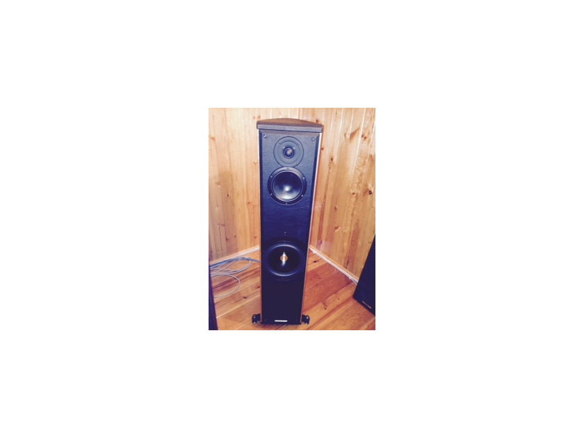 Sonus Faber Liuto Wood  Floor Standing Speaker,     NEW LOWER PRICE
