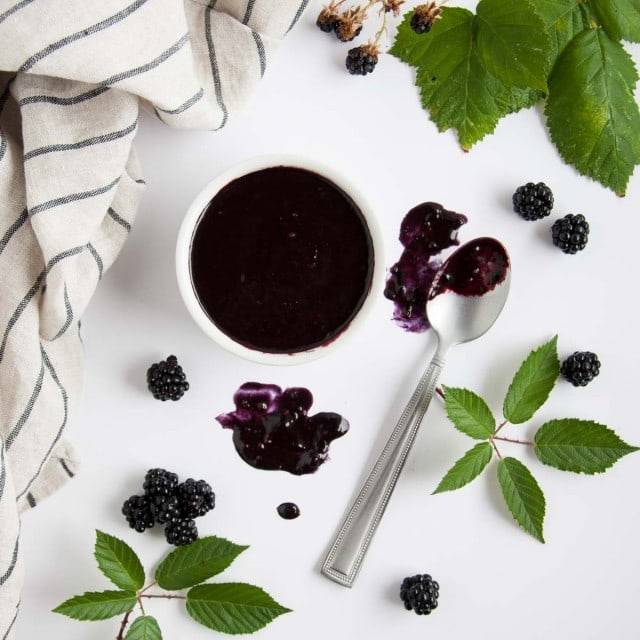 blackberry sauce for dogs
