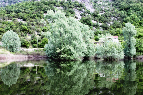 Рыбалка на Скадарском озере