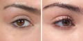 Nulastin Lash Serum Results Before After