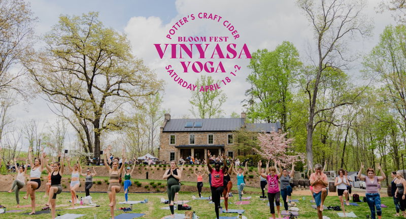 Yoga at 5th Annual Bloom Fest