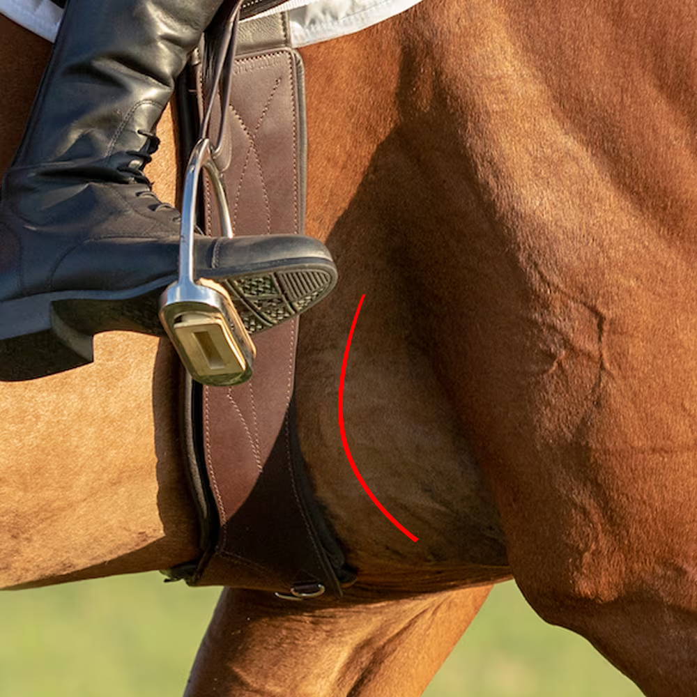 StretchTec Shoulder Relief Girth™ - English