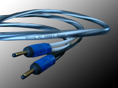 Reference Speakers cables BI WIRE 