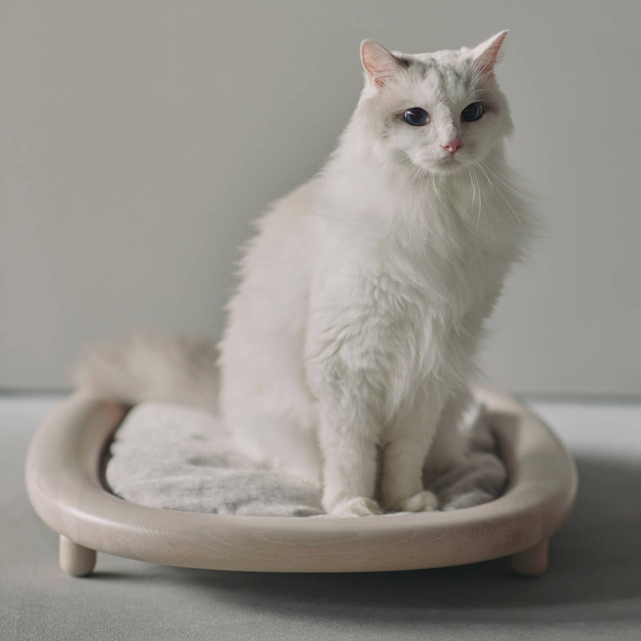 KARIMOKU CAT BED 専用クッション【受注生産】