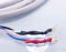 Tara Labs Prism Bi-Wire Speaker Cables; 10 ft. Pair; S... 5