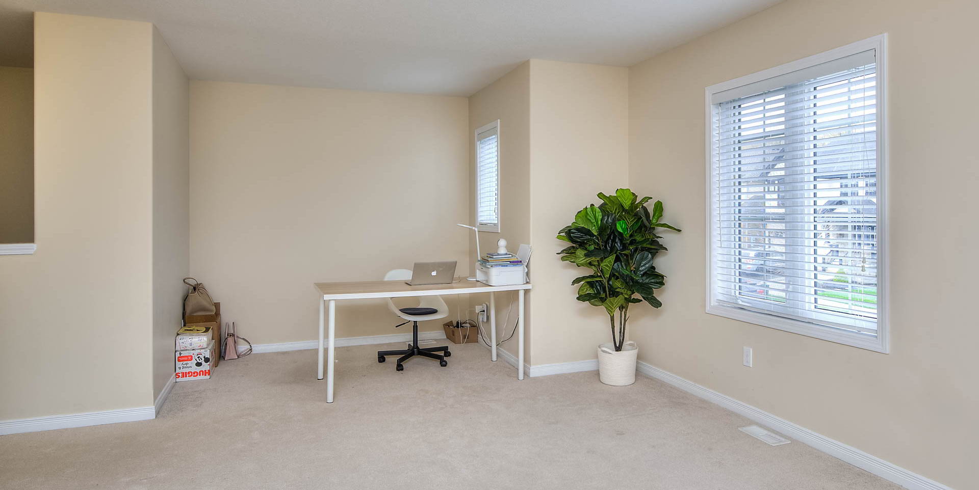 office featuring natural light and carpet