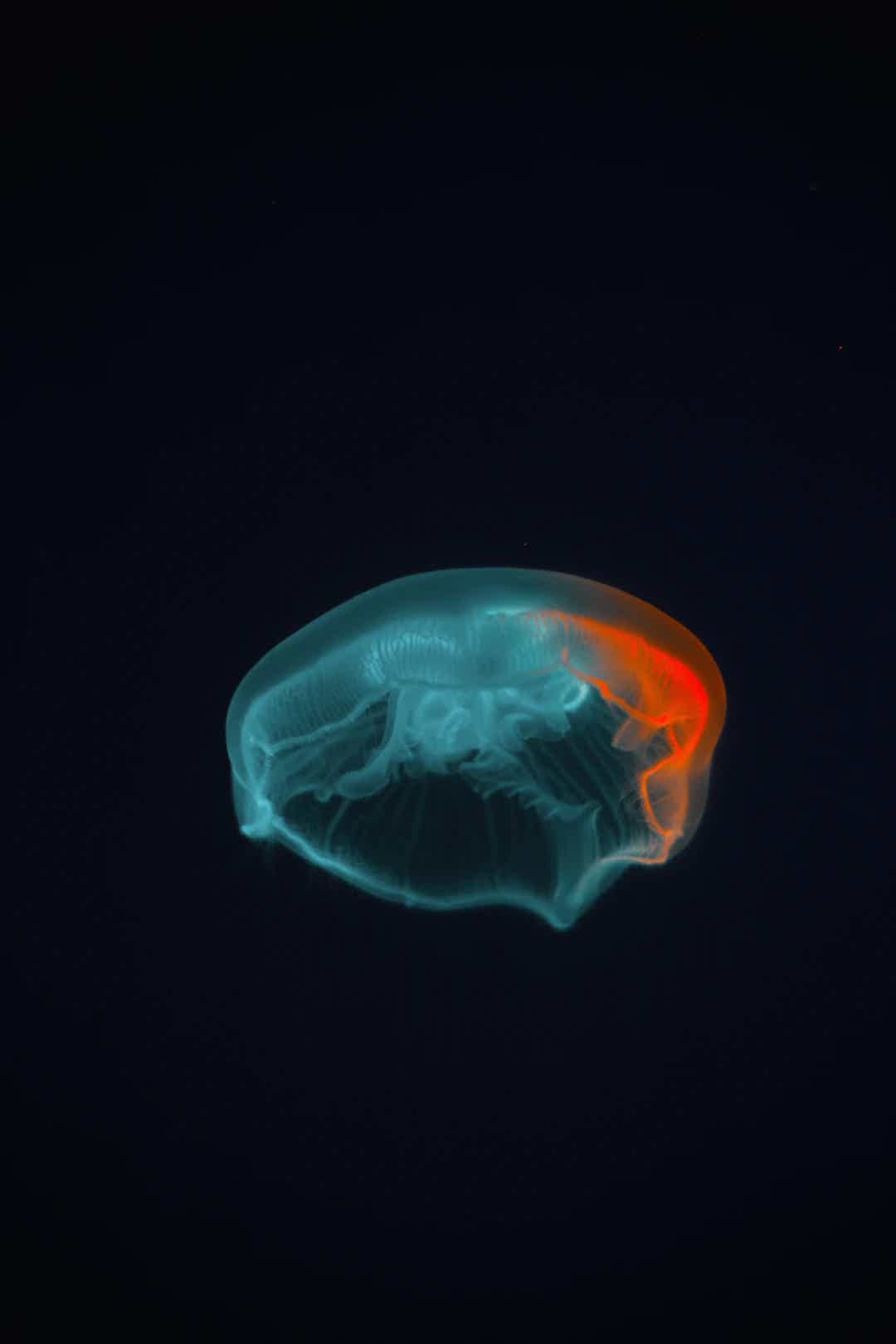 How to Keep Your Muscles and Mind Strong as You Age