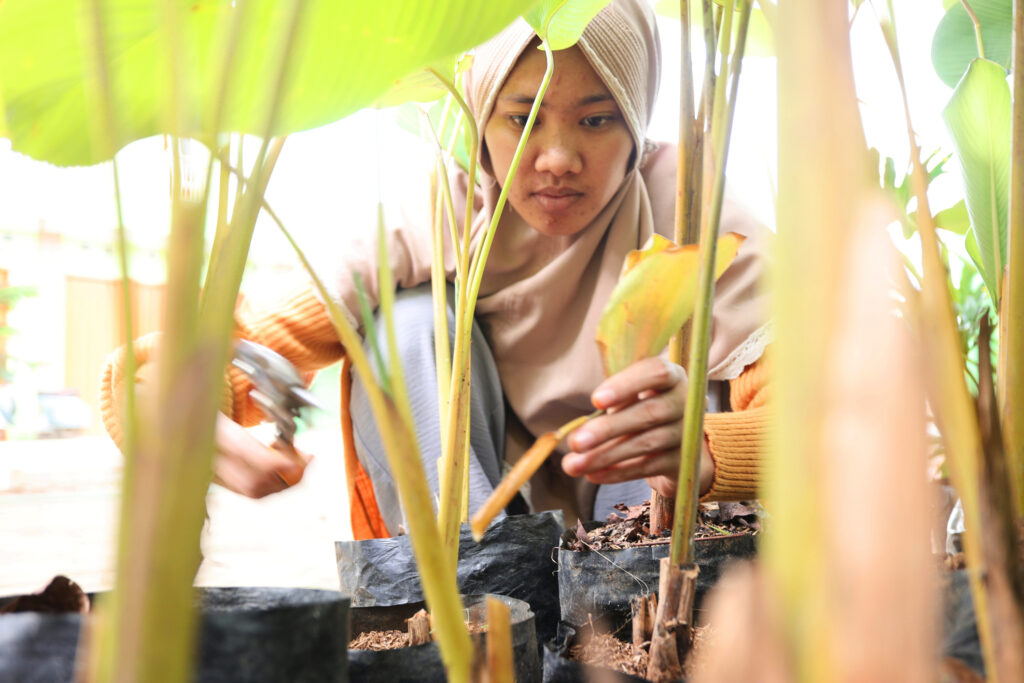 A woman wearing a headscarf and orange sweater tends to small plants in plastic pots, using gardening tools, surrounded by green leaves.