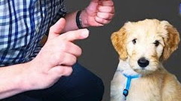 Main Content Image