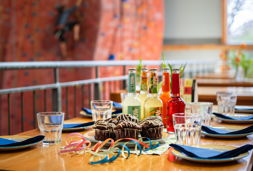 magic mountain birthdayparty