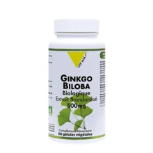 Ginkgo Biloba Bio Standardisierter Extrakt