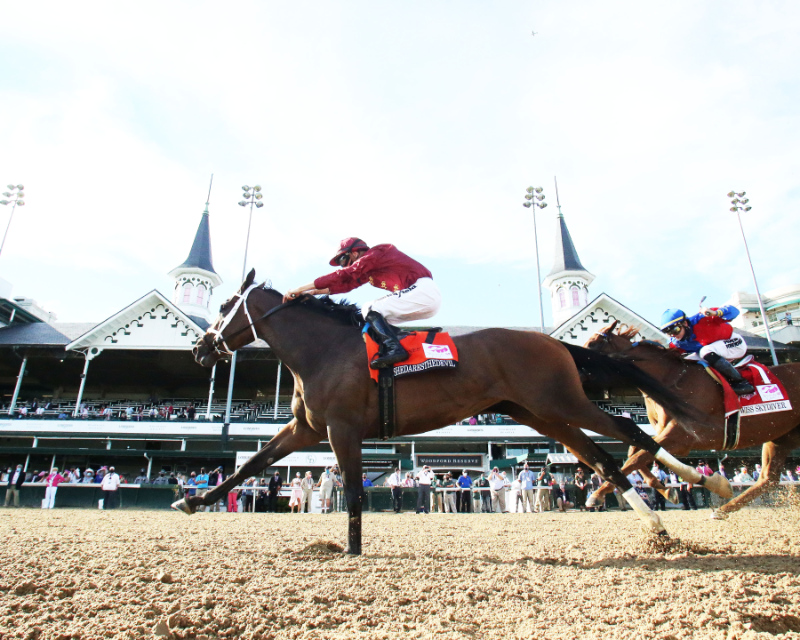 kentucky oaks hore racing odds