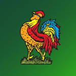 Harrogate Cricket Club Logo