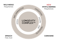 longevity complex explanation image