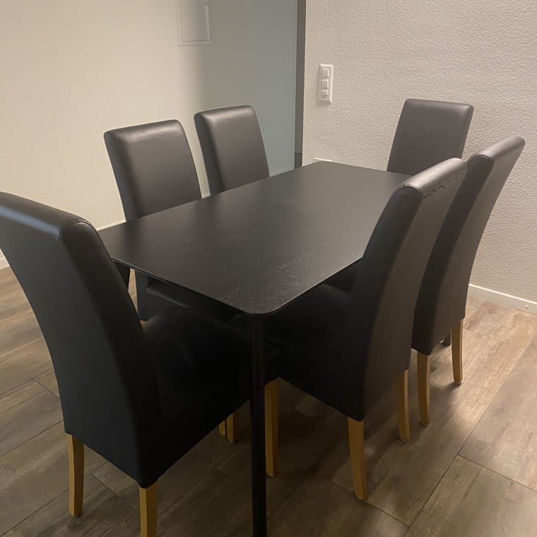 Modern DiningTable and Chairs