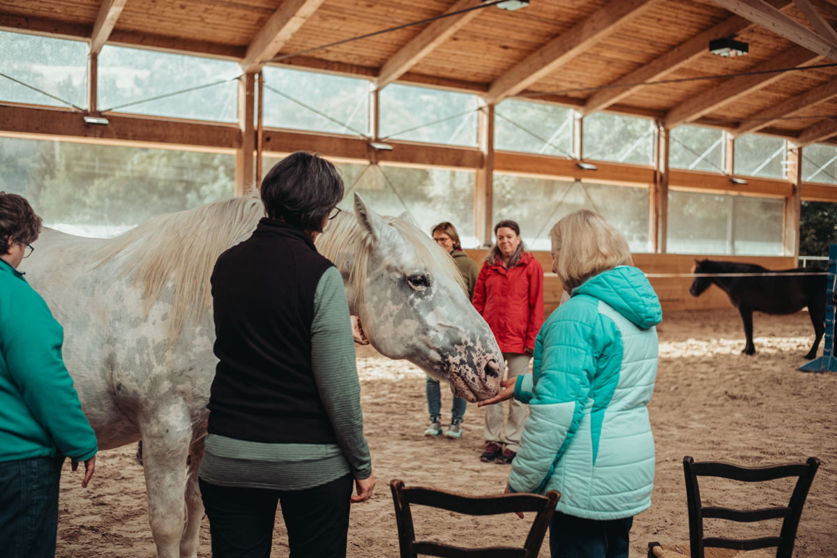 pferdegestützte Achtsamkeitsprogramme
