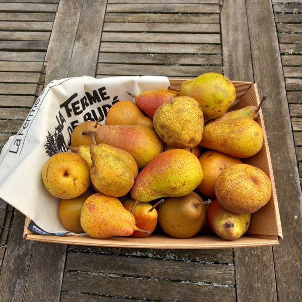 carton-de-poires-bio-5kg