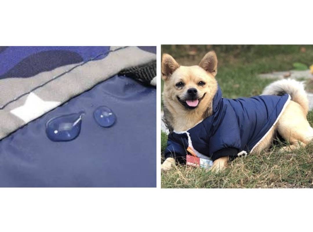 Dog Coat Fur Hood Pup Buddy