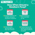 Newborn Poop | The Milky Box
