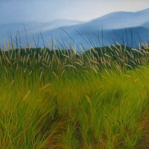 Jeanette Rehahn