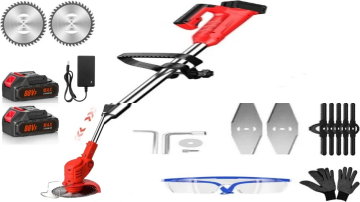 Main Content Image