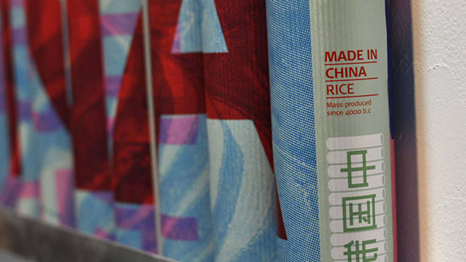 Featured image for Student Spotlight: Made in China Rice