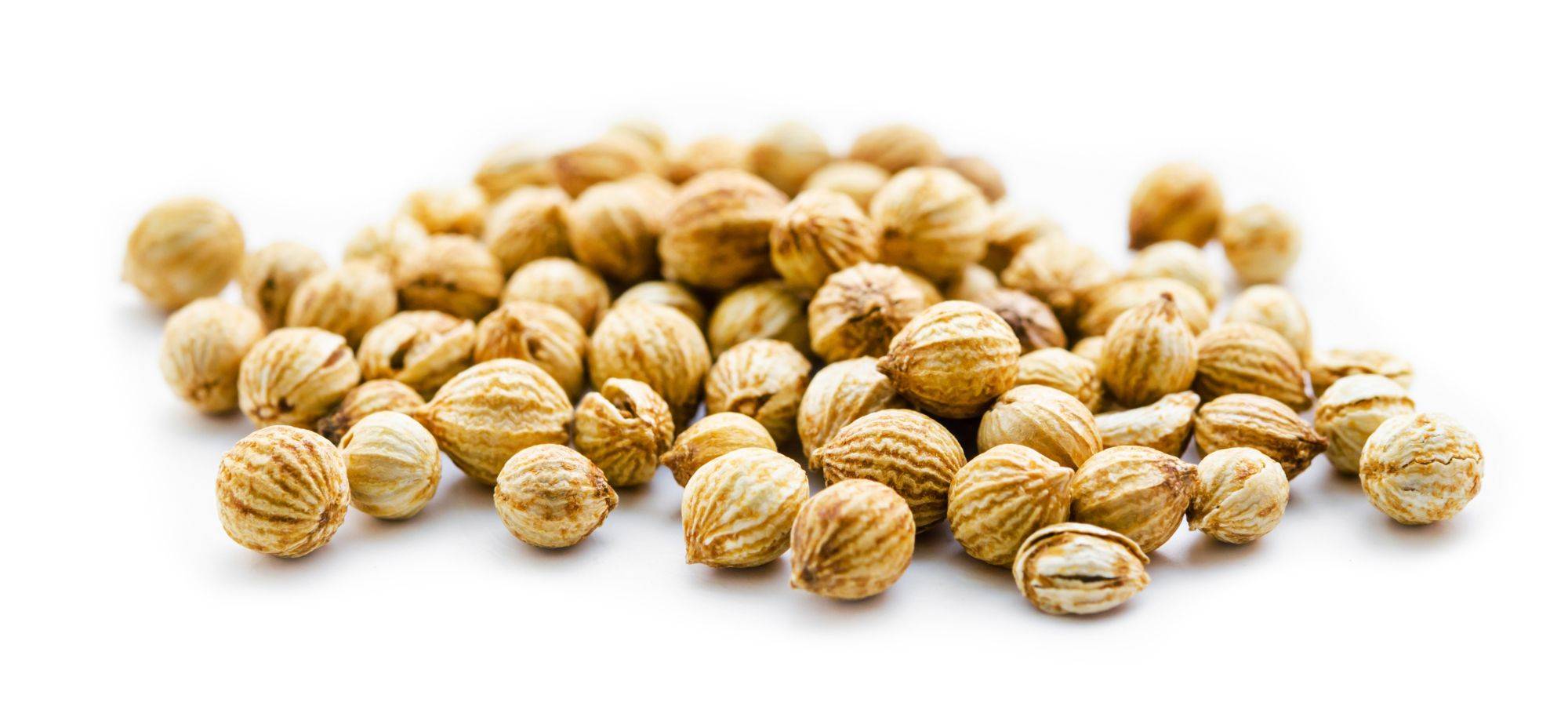 coriander oil