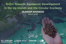 Aquaponics and Circular Economy on islands. Islandap Advanced Project
