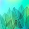 WordPress Divi coder - Abir A.