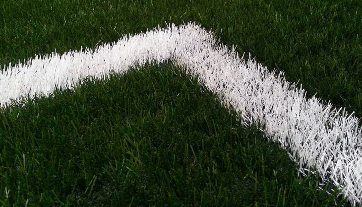 nbg fifa rasen linie