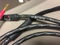 Synergistic Research SR Core Speaker Cables 8ft with ba... 3