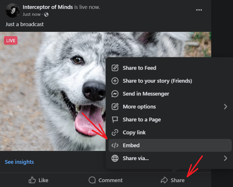 How to Embed a Facebook Live on your Website