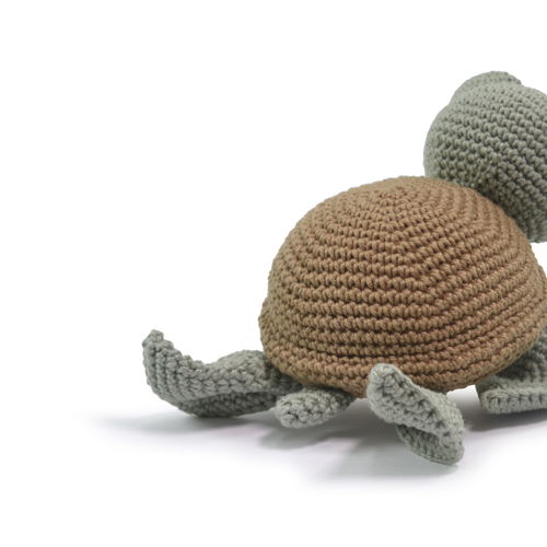 Sea Turtle