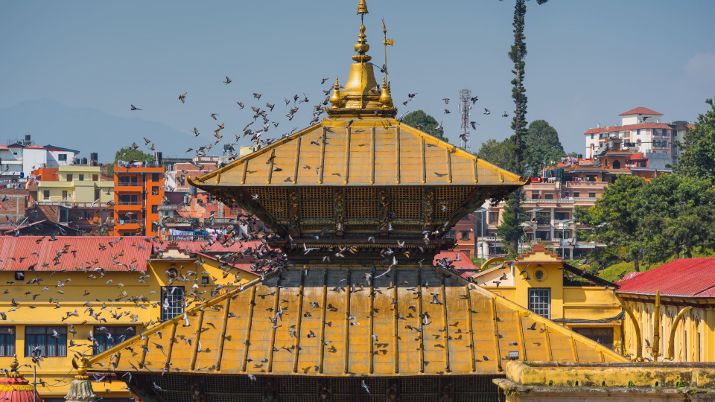 The sacred complex of Pashupatinath Temple is surrounded by a serene natural environment and other religious and historical structures