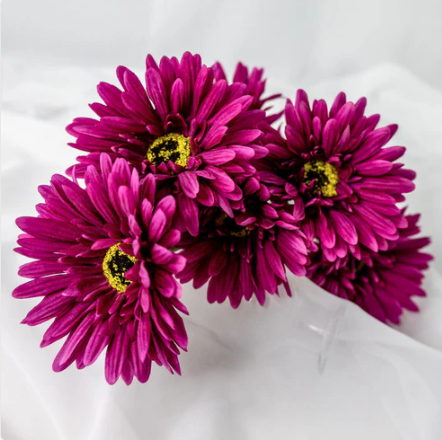Magenta Real Touch Gerbera - Realistic Artificial Flowers - Image 4