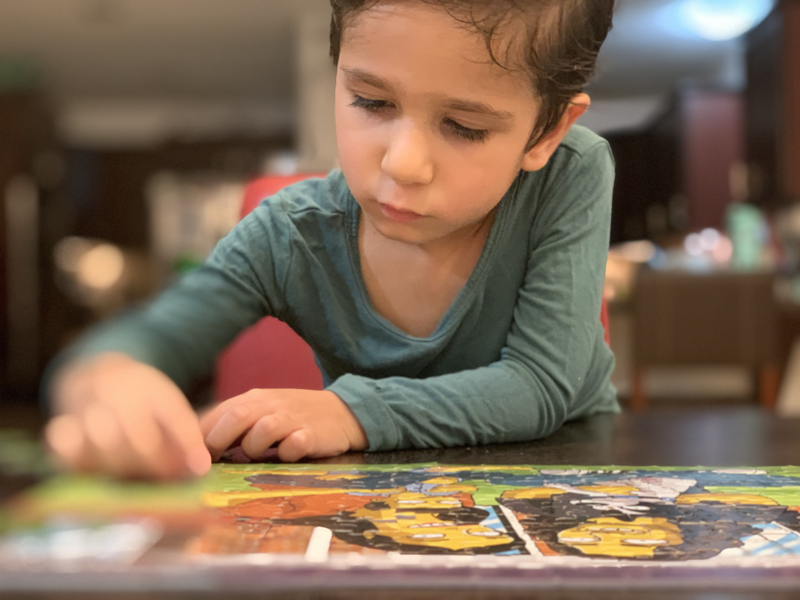 Ecosystemic Play Therapy: Theory & Skills (IN-PERSON)