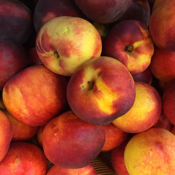 nectarine-jaune