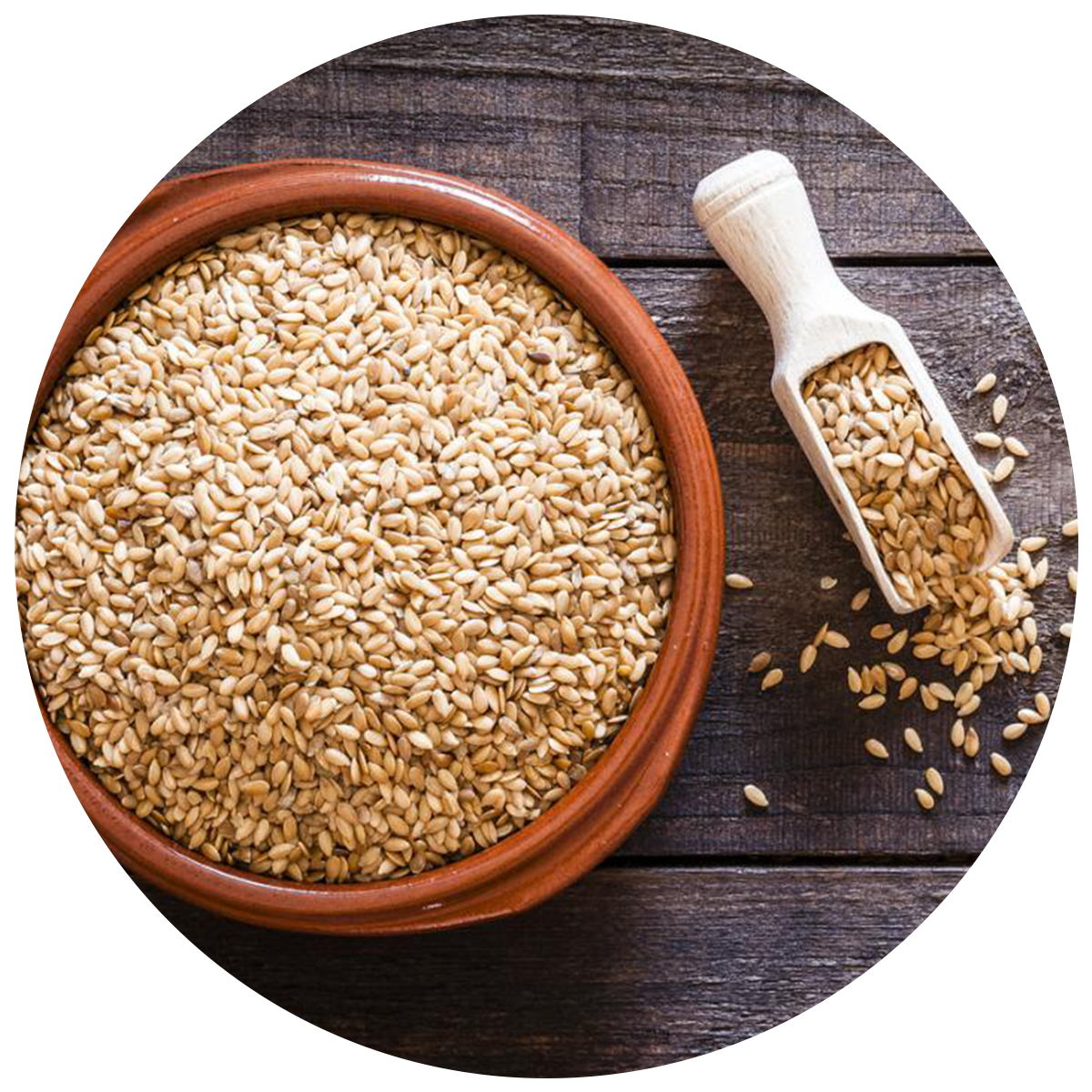 bowl of Flaxseeds as a source of Prebiotics in the best probiotics in singapore